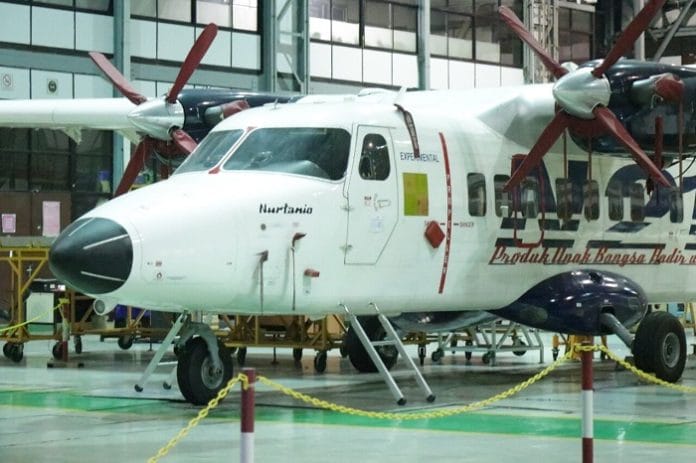 Pesawat N219