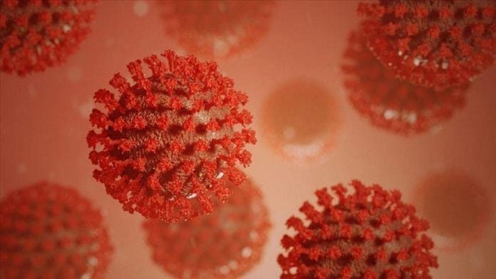 gejala Hepatitis akut gejala Hepatitis akut