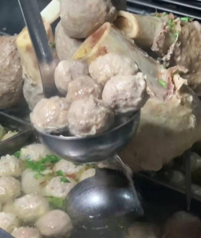 WhatsApp Image 2023-06-30 at 14.19.51 Ilustrasi bakso sapi.