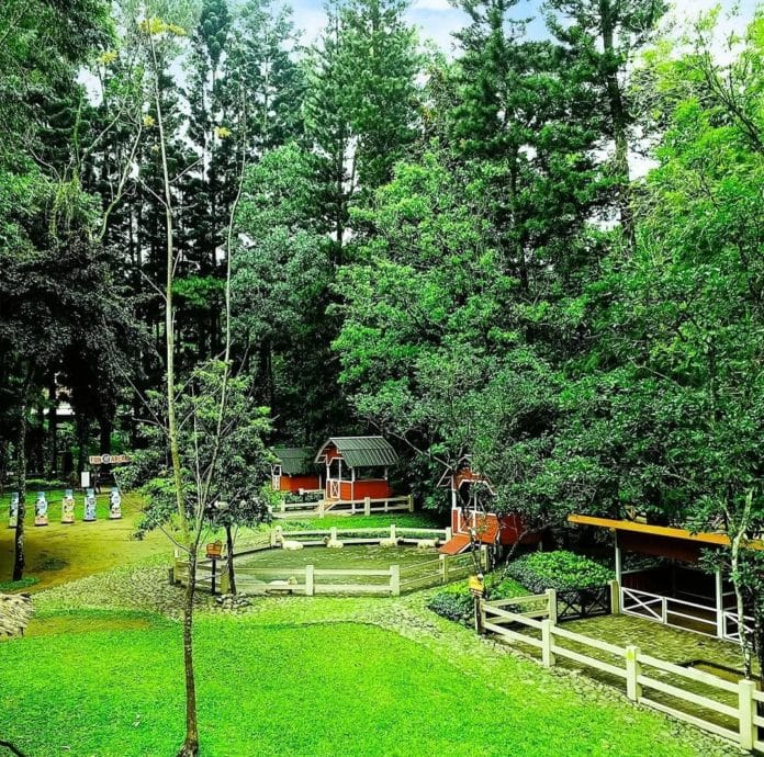 WhatsApp Image 2023-07-25 at 14.35.46 Salah satu objek wisata Cimory Forest Walk di Bogor (Akun Instagram Cimory Riverside)
