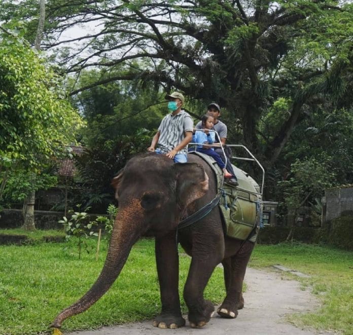 Suasana di Gembira Loka Zoo Yogyakarta (Akun Instagram GLZoo)