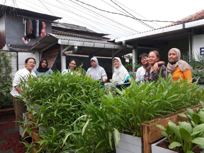PNM dan urban farming
