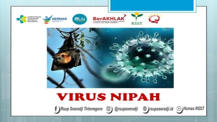 Virus Nipah Virus Nipah