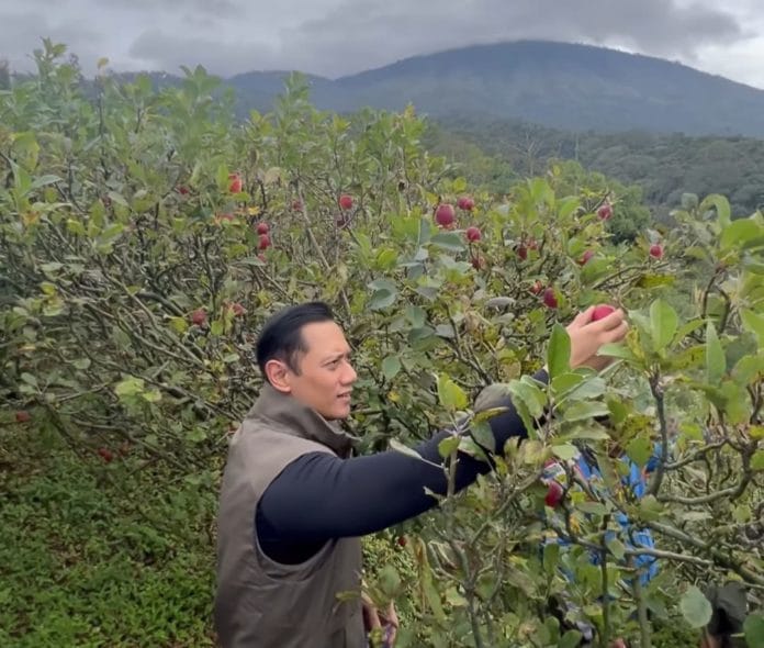 AHY petik apel -- Akun Instagram pribadi AHY