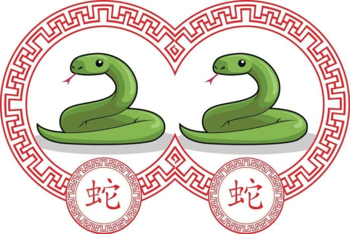 Cek Prediksi Nasib Shio Ular di Tahun Naga 2024, Kesehatan, Keuangan, Warna Keberuntungan