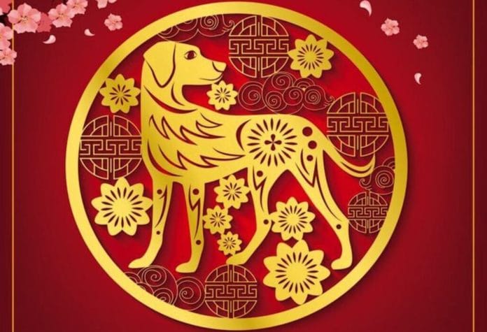 Ramalan Nasib Shio Anjing di Tahun Naga 2024, Kesehatan, Keuangan Hingga Angka Keberuntungan