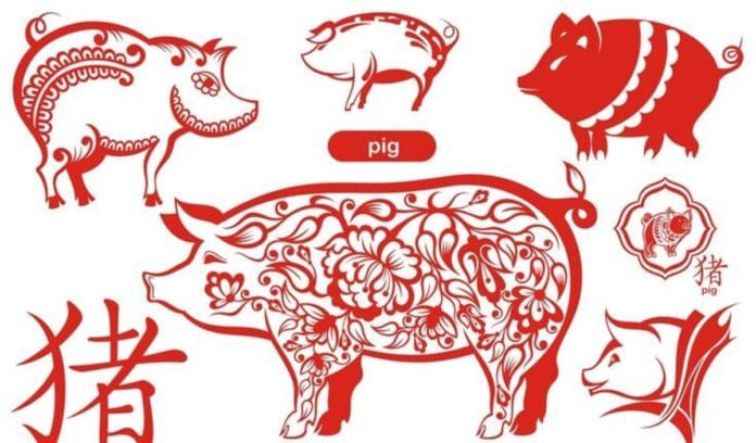 Ramalan Nasib Shio Babi di Tahun Naga 2024, Coba Tebak Apa Warna dan Angka Keberuntungan yang Cocok
