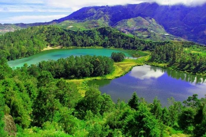 dieng Ini Daerah Paling Dingin di Indonesia, Dieng Wonosobo Masuk Daftar